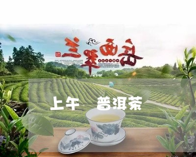 上午 普洱茶/2023042852128